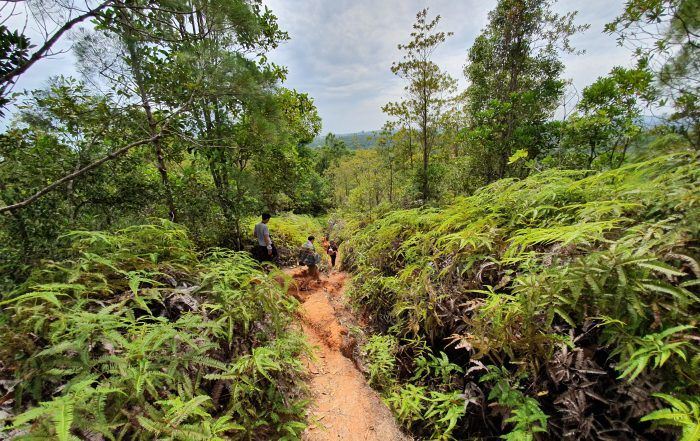 Hiking in Brunei