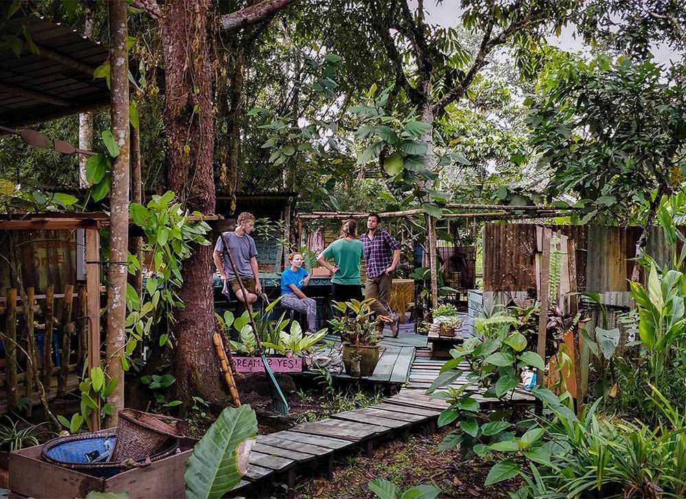 10.Eco Ponies Garden-min